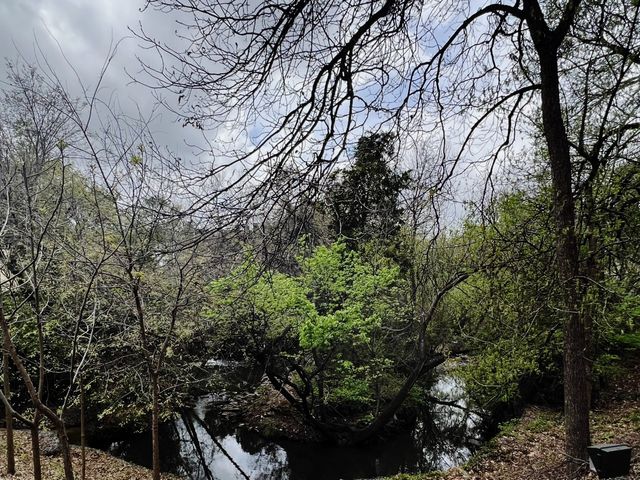 4859 Cedar Springs Road 234, Dallas, TX 75219