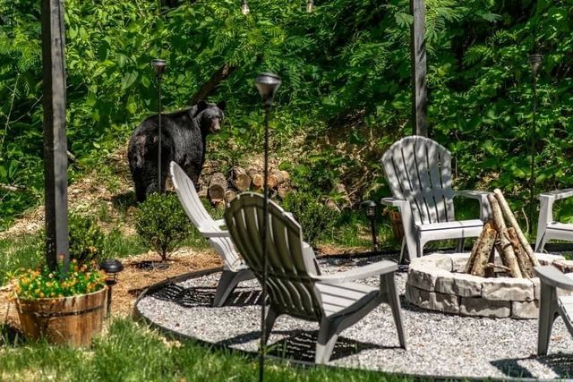 623 Beartrail Ln, Gatlinburg, TN 37738