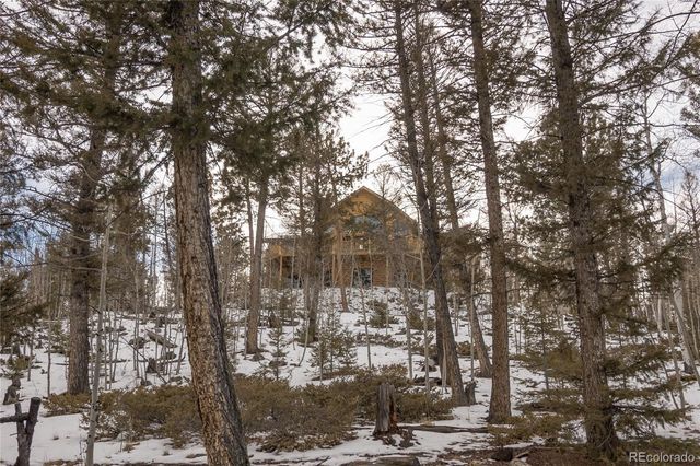 702 Bellows Road, Hartsel, CO 80449