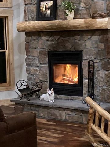 702 Bellows Road, Hartsel, CO 80449