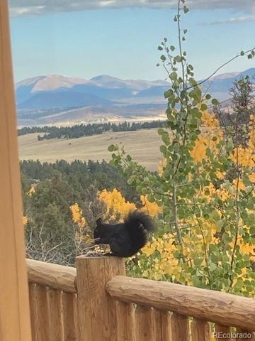 702 Bellows Road, Hartsel, CO 80449