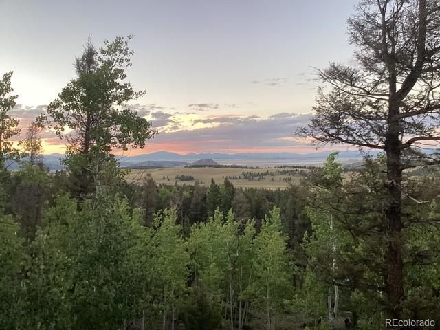 702 Bellows Road, Hartsel, CO 80449