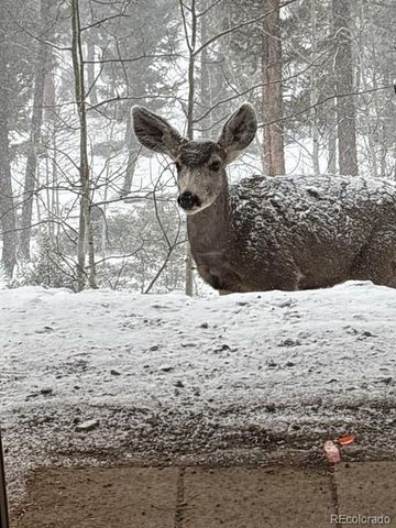 702 Bellows Road, Hartsel, CO 80449