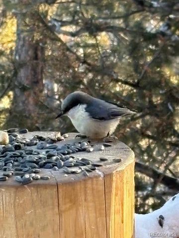 702 Bellows Road, Hartsel, CO 80449