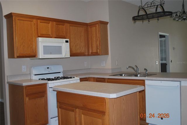 909 GRAND CANYON DRIVE, Valrico, FL 33594