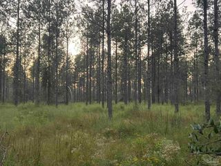 Lot 5 Wallace Lake Rd, Pace, FL 32571