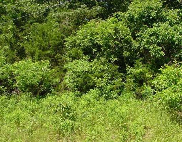 21240 Pine Drive, Garfield, AR 72732