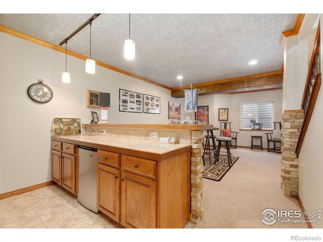 1443 Folsum Drive, Windsor, CO 80550
