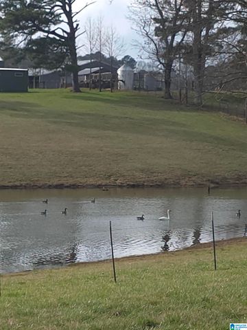 1374 COUNTY ROAD 617, Hanceville, AL 35077