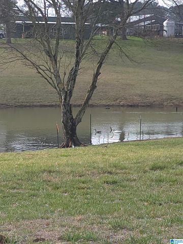 1374 COUNTY ROAD 617, Hanceville, AL 35077