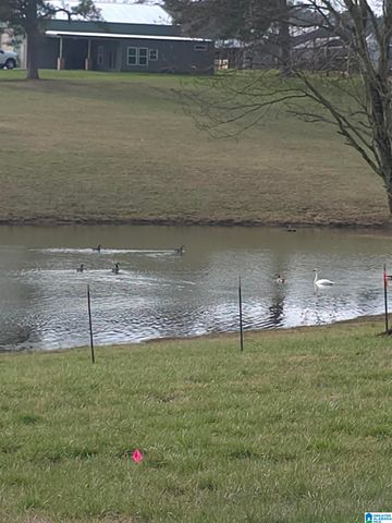 1374 COUNTY ROAD 617, Hanceville, AL 35077