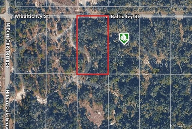 12538 W Baltic Ivy Street, Crystal River, FL 34428