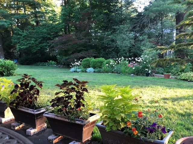 204 Follen Rd., Lexington, MA 02421