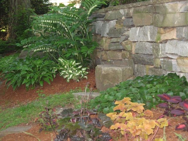 204 Follen Rd., Lexington, MA 02421
