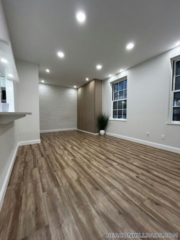17 Bowdoin St 1B, Boston, MA 02114