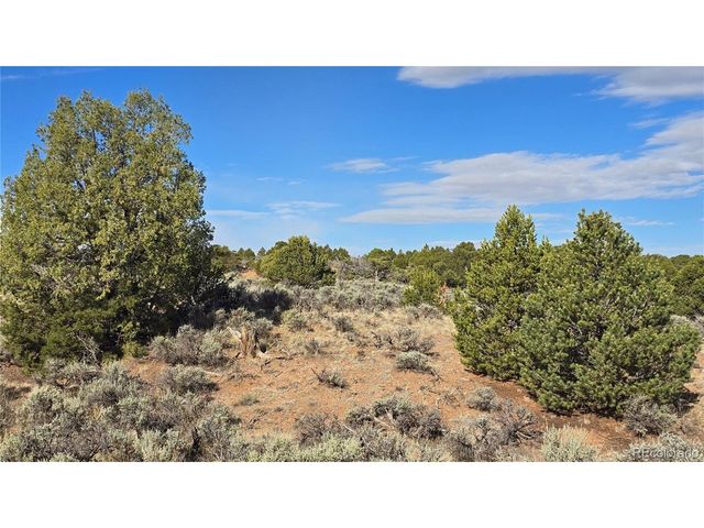 7340 Sweaney Rd, Fort Garland, CO 81133