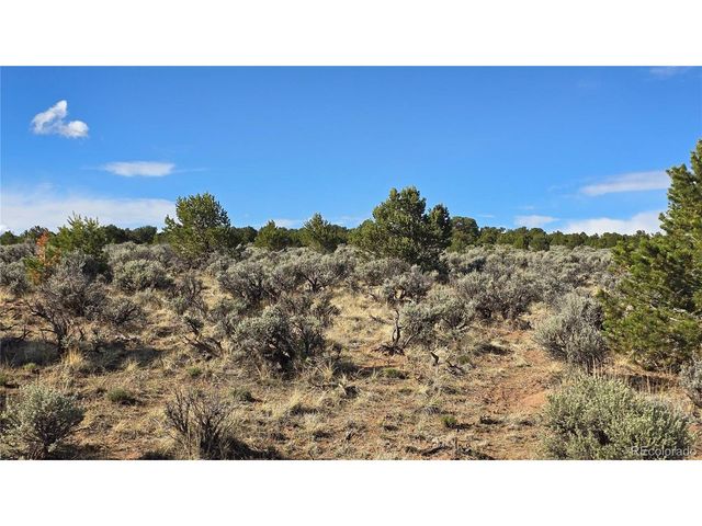 7340 Sweaney Rd, Fort Garland, CO 81133