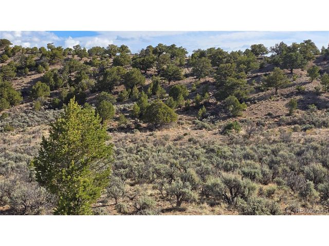 7340 Sweaney Rd, Fort Garland, CO 81133