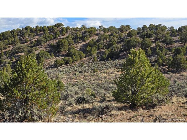 7340 Sweaney Rd, Fort Garland, CO 81133