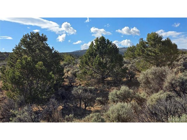 7340 Sweaney Rd, Fort Garland, CO 81133