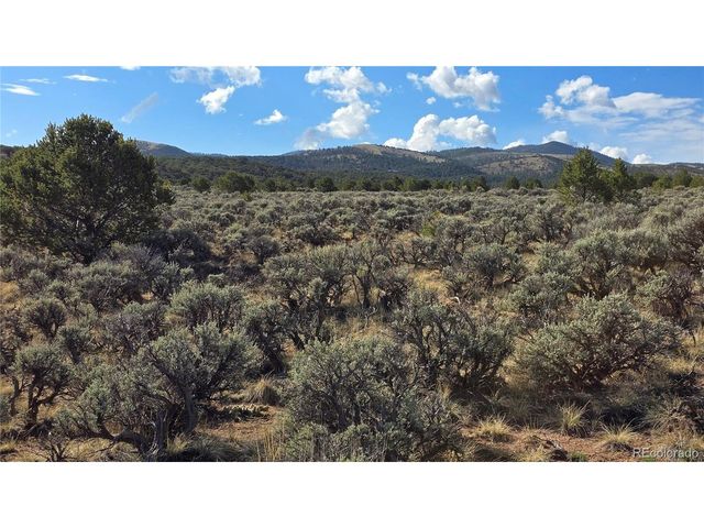 7340 Sweaney Rd, Fort Garland, CO 81133