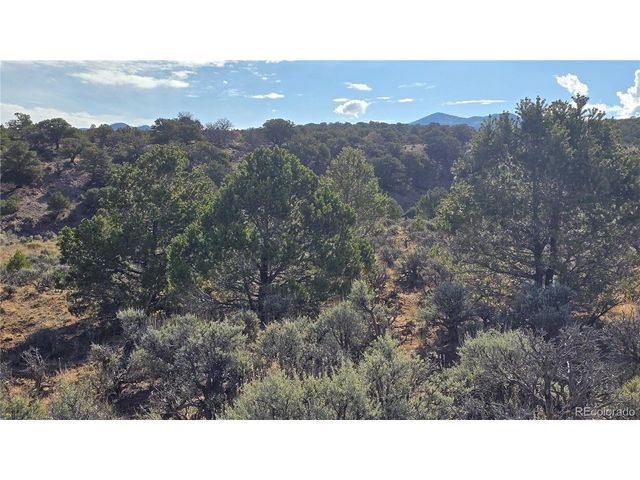 7340 Sweaney Rd, Fort Garland, CO 81133