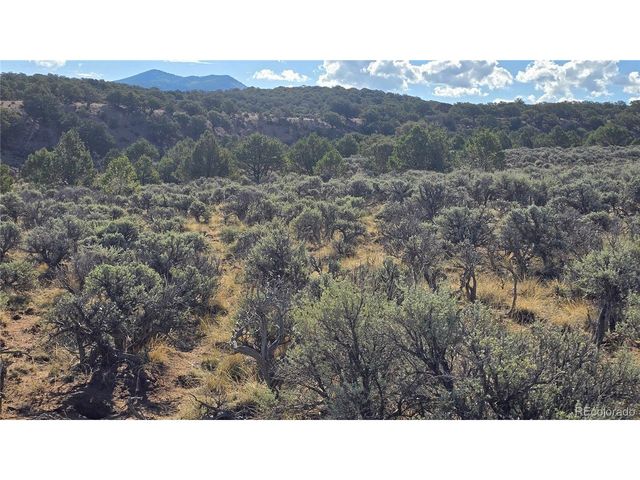7340 Sweaney Rd, Fort Garland, CO 81133