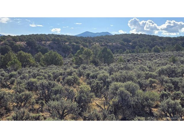 7340 Sweaney Rd, Fort Garland, CO 81133