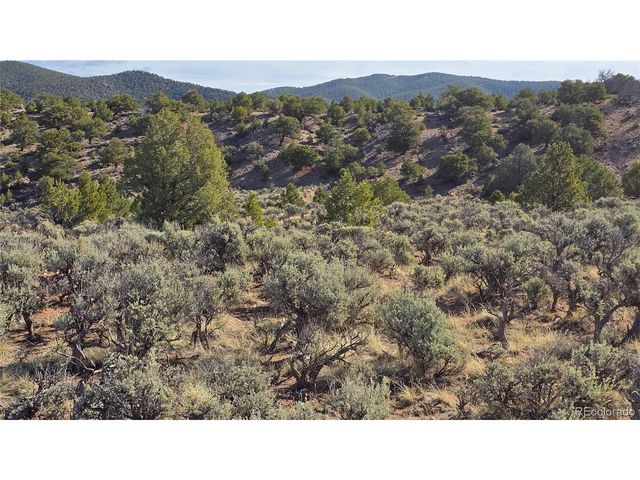 7340 Sweaney Rd, Fort Garland, CO 81133
