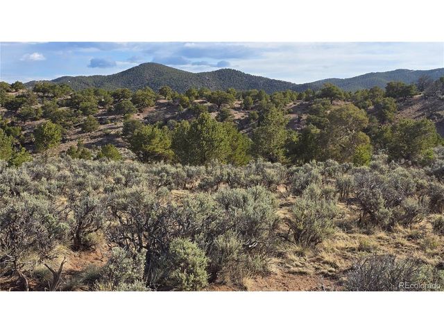 7340 Sweaney Rd, Fort Garland, CO 81133