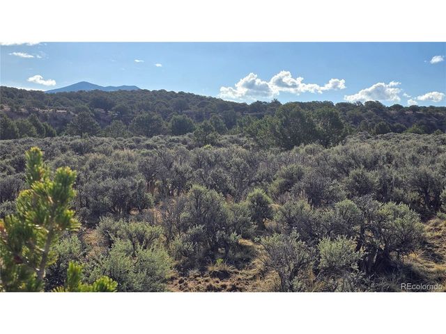 7340 Sweaney Rd, Fort Garland, CO 81133