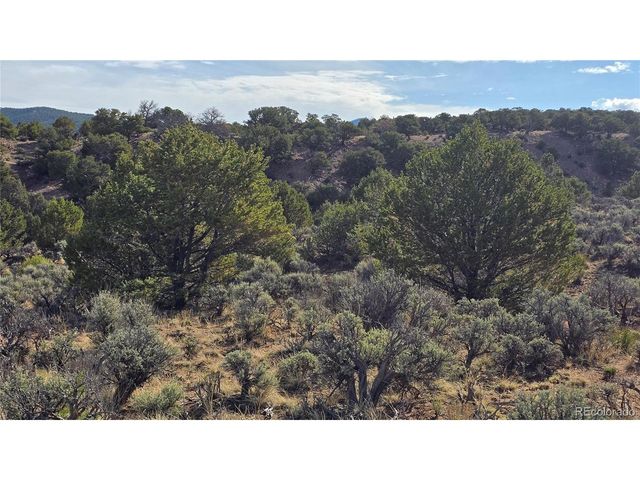 7340 Sweaney Rd, Fort Garland, CO 81133