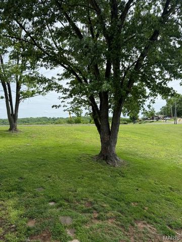 1775 Burley Road, Festus, MO 63028
