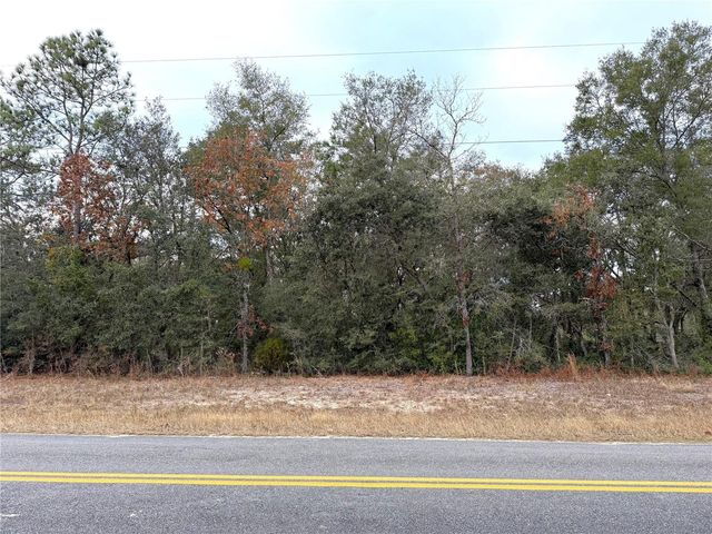 0 NE 137TH TERRACE, Williston, FL 32696