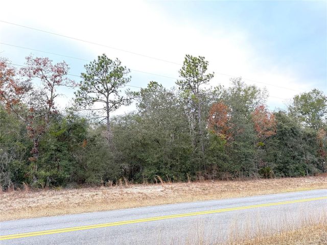 0 NE 137TH TERRACE, Williston, FL 32696