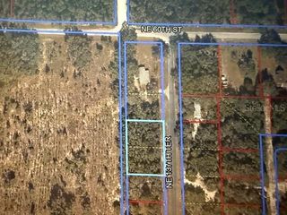 0 NE 137TH TERRACE, Williston, FL 32696