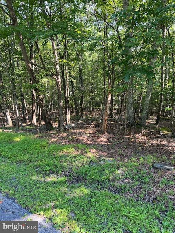 POCONO FORESTED DR, East Stroudsburg, PA 18302