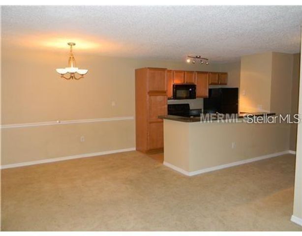 214 LAKE PARSONS GREEN 201, Brandon, FL 33511