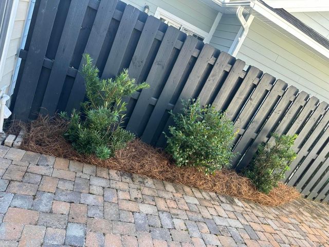 3089 Park W Boulevard, Mount Pleasant, SC 29466