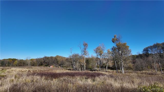 976 Davis Road, Aurora, NY 14052