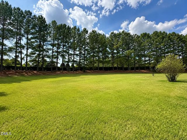 2401 Cattail Pond Drive, Zebulon, NC 27597