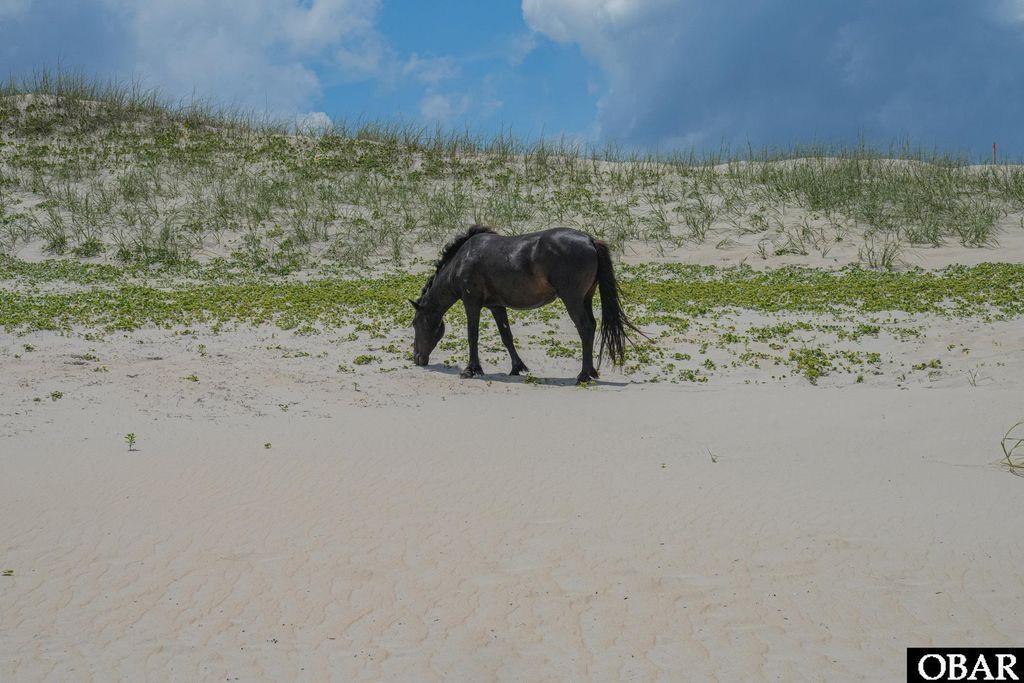 Image 16 of property listing at 2247 Ocean Pearl Road Lot 12, Corolla, NC 27927