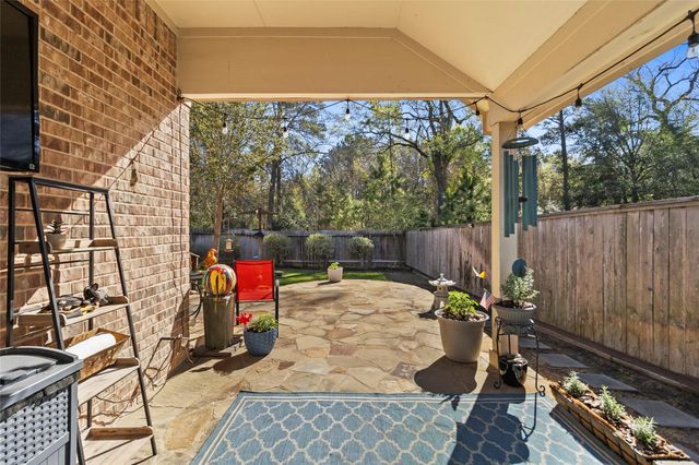 199 Capriccio Lane, Montgomery, TX 77316