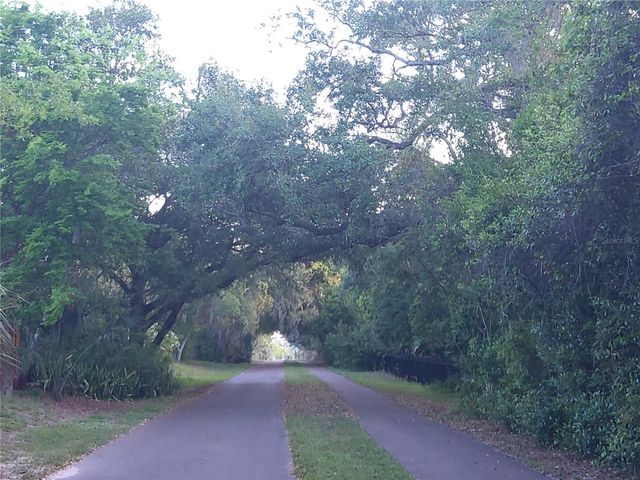 600 N MAYO STREET, Crystal Beach, FL 34681