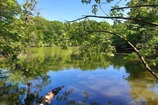 77 Pond Avenue 401, Brookline, MA 02445