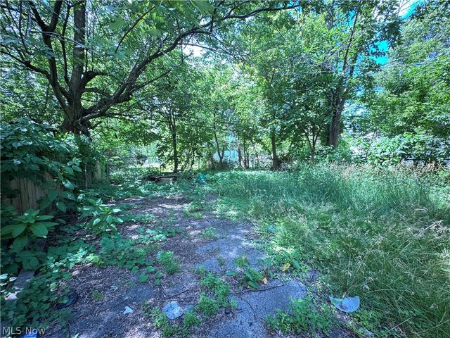 540 E 123rd Street, Cleveland, OH 44108