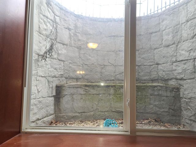 802 Sundial LANE, Neenah, WI 54956