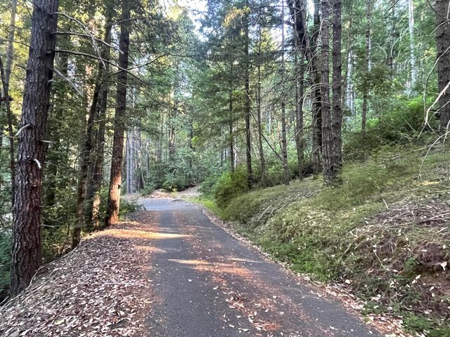 6045 Wilder Ridge Road, Garberville, CA 95542