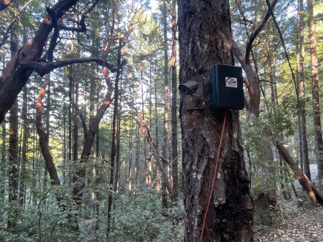 6045 Wilder Ridge Road, Garberville, CA 95542