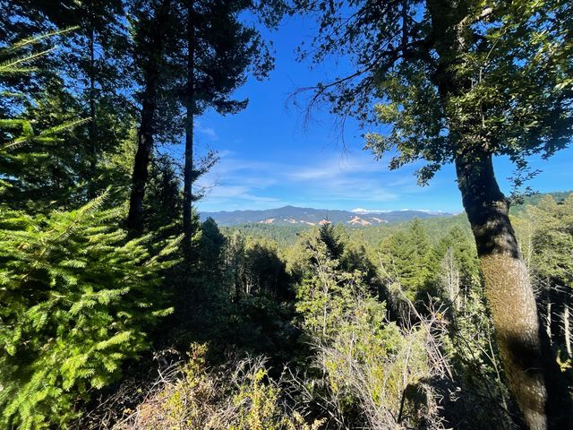 6045 Wilder Ridge Road, Garberville, CA 95542